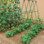 support plante grimpante métal vert structure triangulaire jardinage utilitaire fixations liens noirs croissance concombre