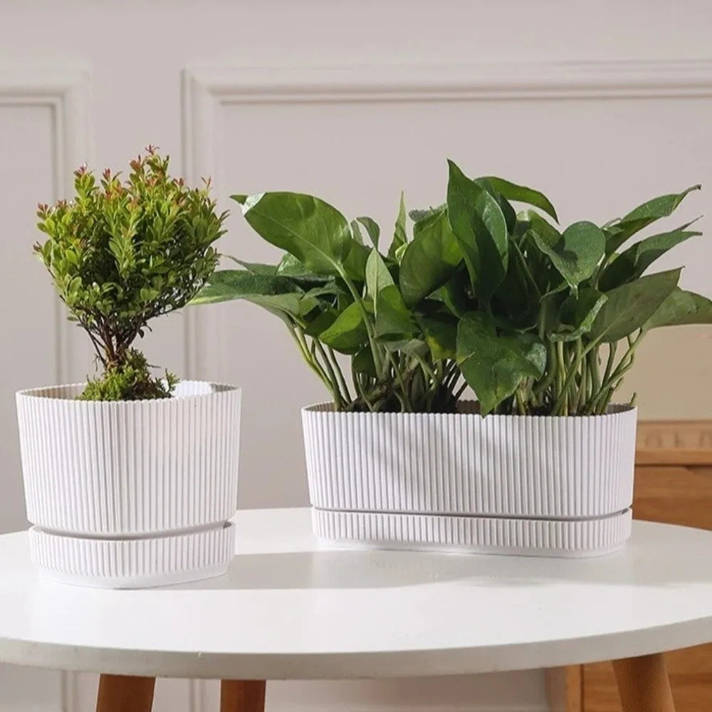 pots fleurs auto arrosants double couche drainage moderne pensées fougère plante verte minimaliste lignes