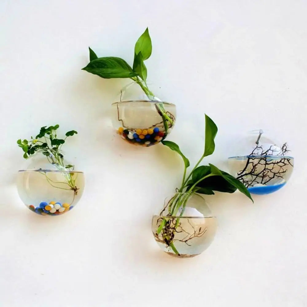 vase mural verre transparent moderne 10 12 13 15cm
