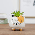 cache pot cartoon visage animé blanc rose jaune noir succulente décoration table adultes unisexe