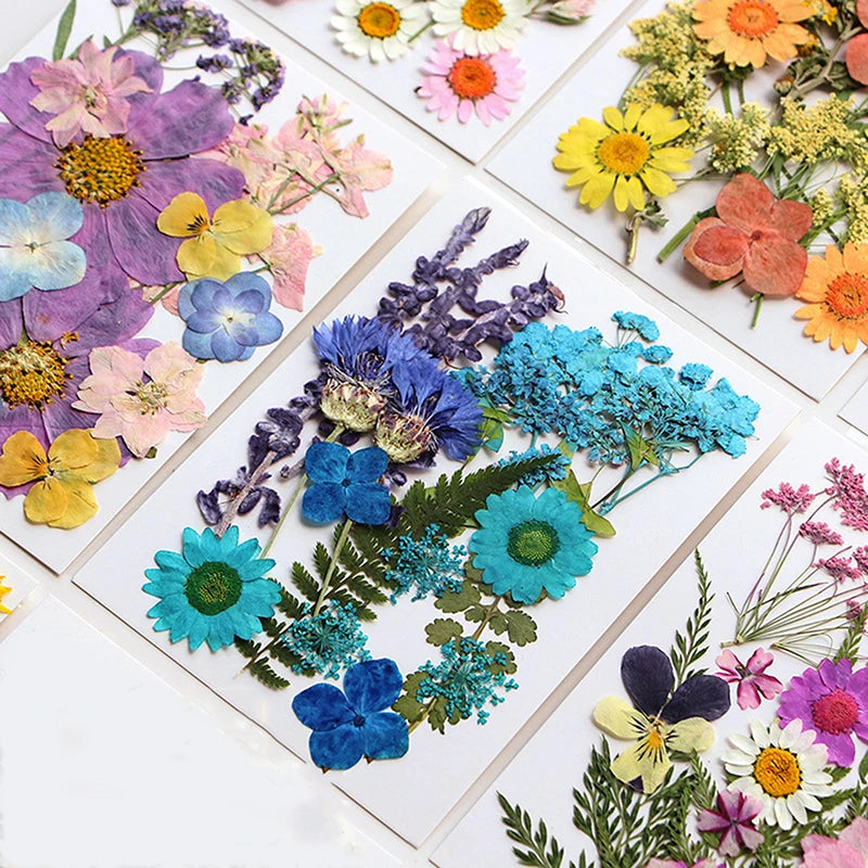 fleurs séchées assortiment variété naturelle bouquets décor intérieur artisanat décoration maison fixations invisibles couleurs