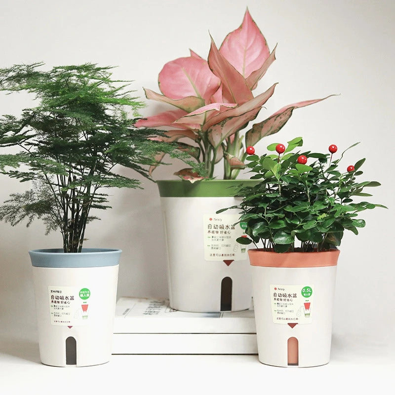 pots plante intérieure autoarrosants moderne plastique couleurs beige orange vert clair gris tailles