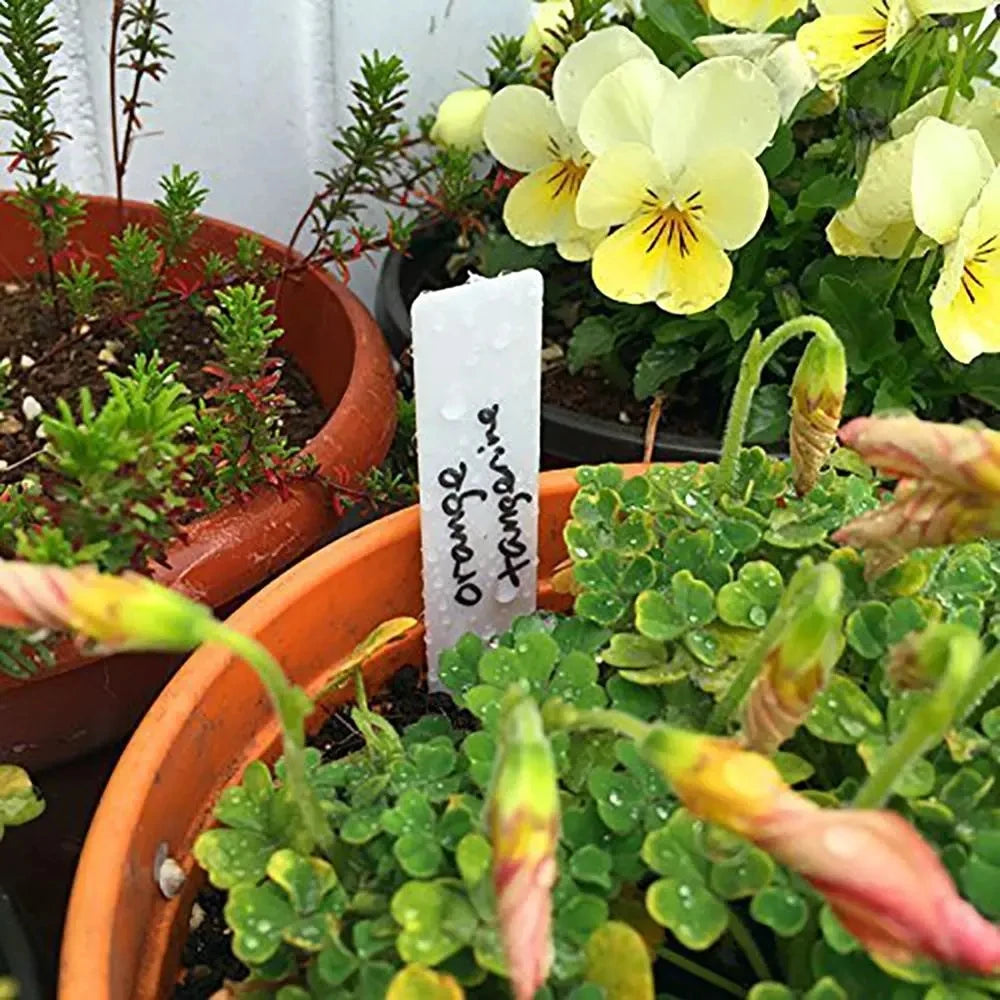 étiquettes jardinage adhésives réutilisables waterproof couleurs aléatoires moderne vert blanc jaune bleu rose violet
