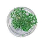 décorations nail art fleurs séchées violet rose vert rouge orange blanc naturel strass ongles