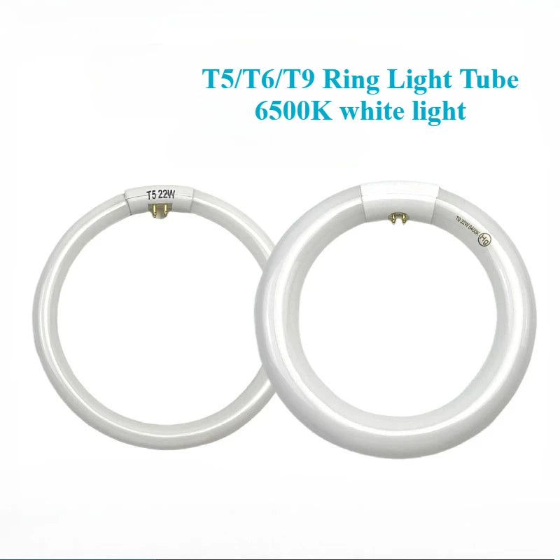 tube lumière circulaire blanc moderne 22w t5 18.2cm efficace eye caring