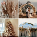 fleurs sèches plumes herbes naturelles décoration maison anniversaire mariage vases élégantes blanc marron fluffy
