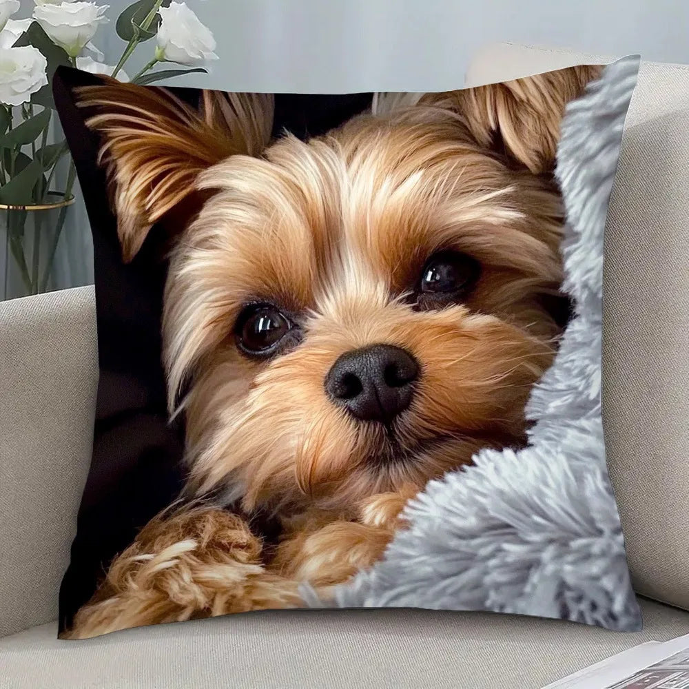 housse coussin carrée polyester imprimé chien noir décor moderne salon voiture