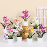 décoration intérieure orchidées artificielles pots blancs fleurs simples feuilles vertes moderne