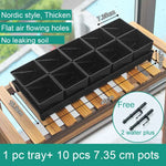 lot pot succulentes plastique blanc moderne trous drainage aération plantes maison