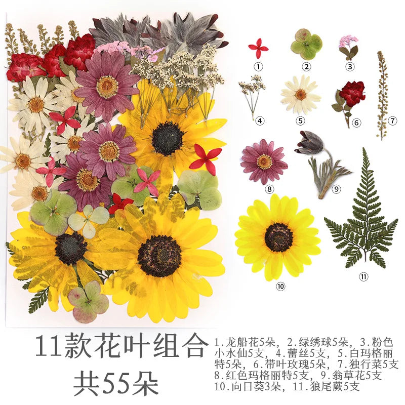 fleurs séchées multicolores naturelles variées feuilles séchées décor maison artisanat enfant autocollants journal