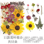 fleurs séchées multicolores naturelles variées feuilles séchées décor maison artisanat enfant autocollants journal