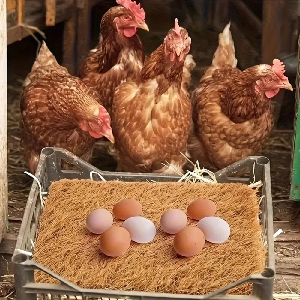 tapis imitation herbe poules œufs texture fibreuse rustique agricole sans fixation Pods Pods Pods