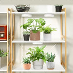 lampe led plante hauteur réglable lumière blanche circulaire moderne câble usb interrupteur