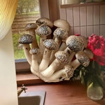 aimants réfrigérateur forme champignon couleur rouge noir blanc marron clair texture naturelle réaliste opaques