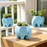 cache pots éléphant bleu gris blanc moderne adhésif decoration intérieure pot fleurs cactus