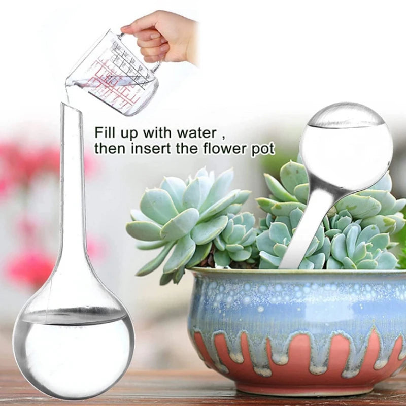 globe arrosage automatique plantes transparent bleu vert jaune rouge kit irrigation moderne simple pièces