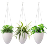 pots suspendus plantes blancs moderne forme œuf lisse acier coton fougères succulentesintérieur jardinVERTES