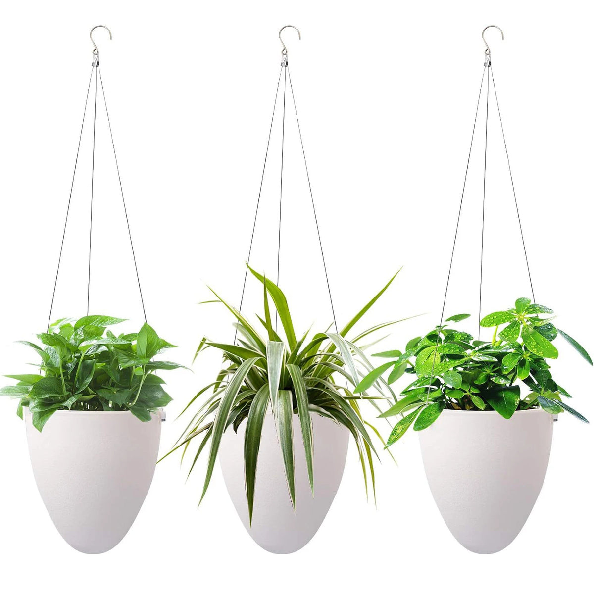 pots suspendus plantes blancs moderne forme œuf lisse acier coton fougères succulentesintérieur jardinVERTES