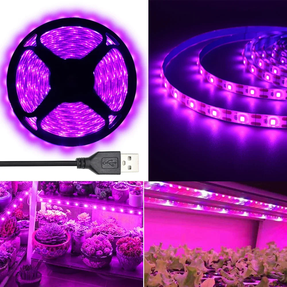 ruban led violet culture végétale adhésif ip65 waterproof moderne 5v 3m 4m 5m
