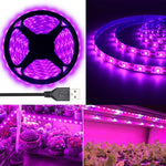ruban led violet culture végétale adhésif ip65 waterproof moderne 5v 3m 4m 5m