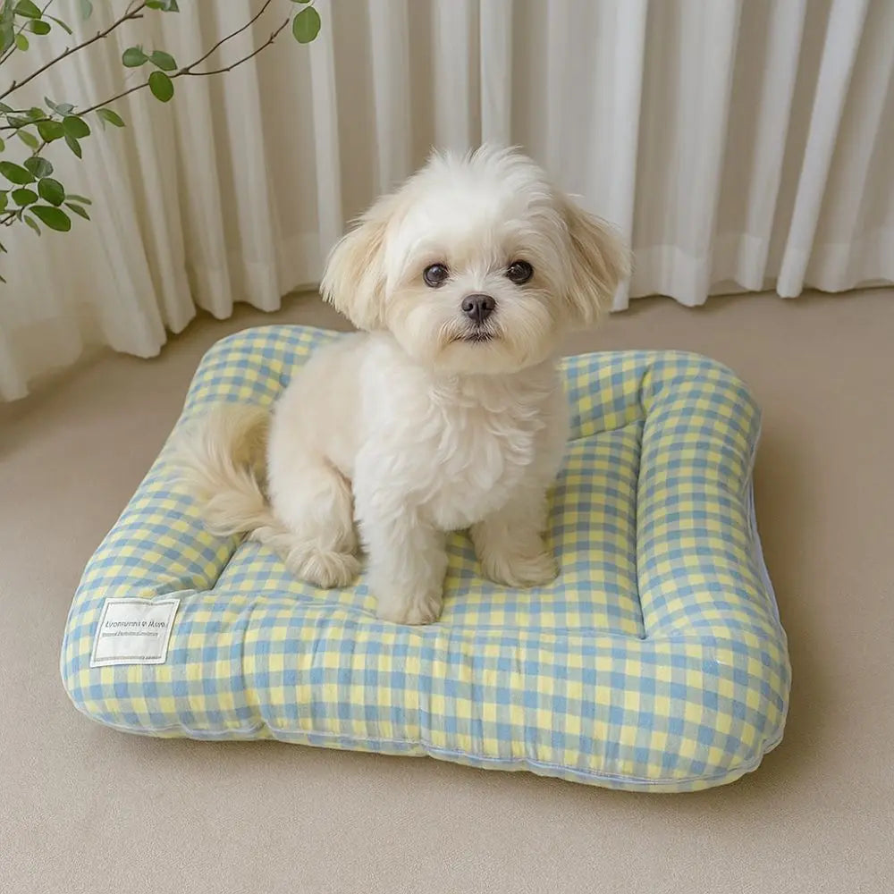 coussin animal velours côtelé carreaux bleu clair jaune rose blanc confortable moderne