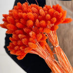 fleurs séchées naturelles bouquet orange jaune décoration maison anniversaire mariage festive bohème
