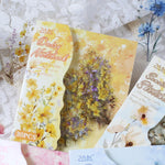 cartes postales vintage floral 30 pièces rouge jaune bleu blanc