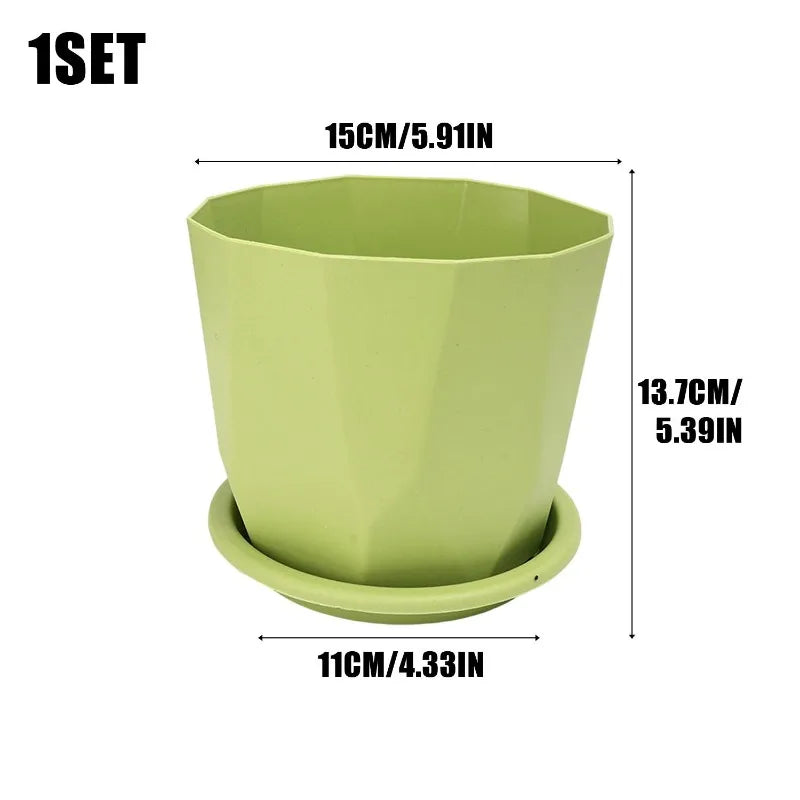 pots fleurs absorption eau succulentes intérieur décoration maison vert blanc moderne