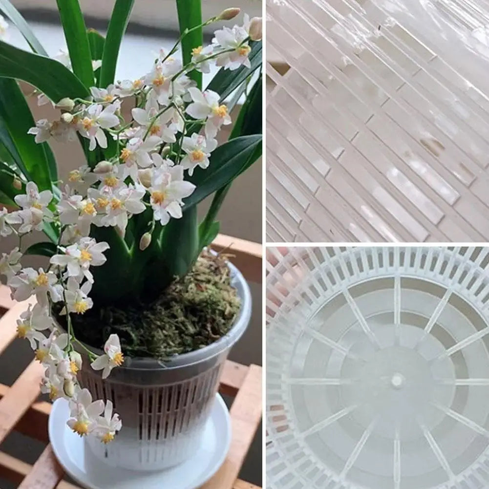 pot plante transparent moderne grille drainage plateau support lignes verticales plastique