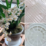 pot plante transparent moderne grille drainage plateau support lignes verticales plastique