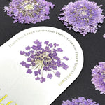 fleurs séchées violettes bleues décor maison anniversaire baby shower bricolage peinture décoration naturelle artificielle