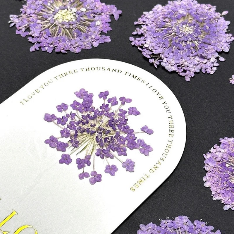 fleurs séchées violettes bleues décor maison anniversaire baby shower bricolage peinture décoration naturelle artificielle