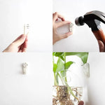 vases suspendus verre transparent modernes minimalistes adhésifs plantes intérieures