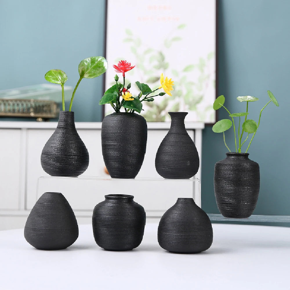vases céramique noir blanc rayures modernes décoration intérieure plante verte minimaliste