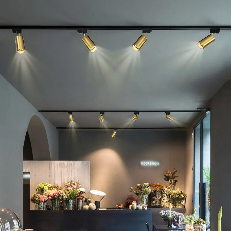 Spot LED moderne or noir conique montage surface deux sources lumineuses