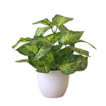 plantes artificielles vertes bonsaï ornement accessoires photo scindapsus pot rotin extérieur moderne