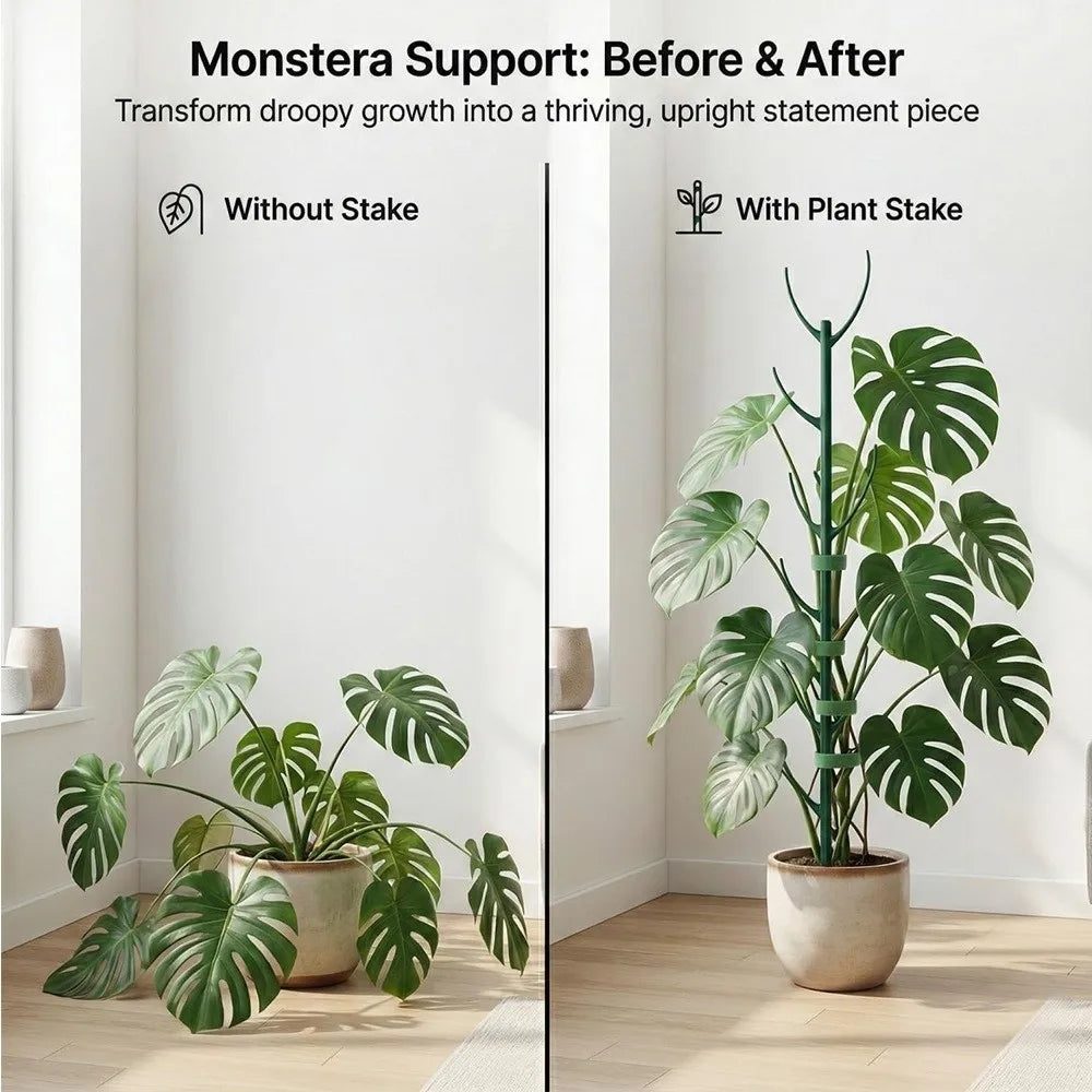 supports plantes grimpantes tuteur végétal vert foncé métallique minimaliste moderne fixations velcro plantes fleurs