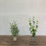 décoration intérieure plante artificielle fleurs feuilles moderne rose blanche verte salon