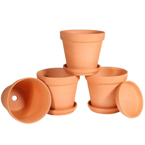 pots fleurs terre cuite soucoupe assortie drainage plantes cactus succulentes vert orange rusticité traditionnelle