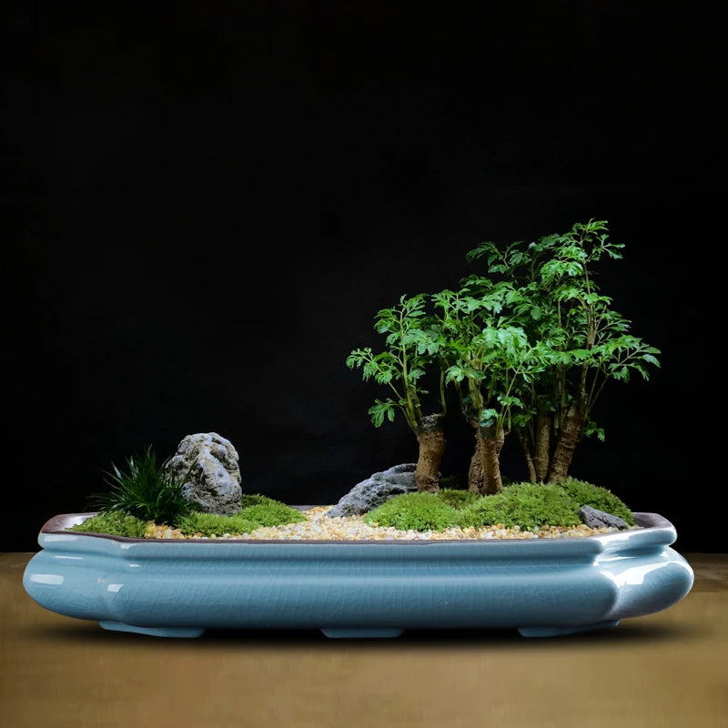 Bonsaï céramique artisanal naturel feuilles vertes bleues terre roches
