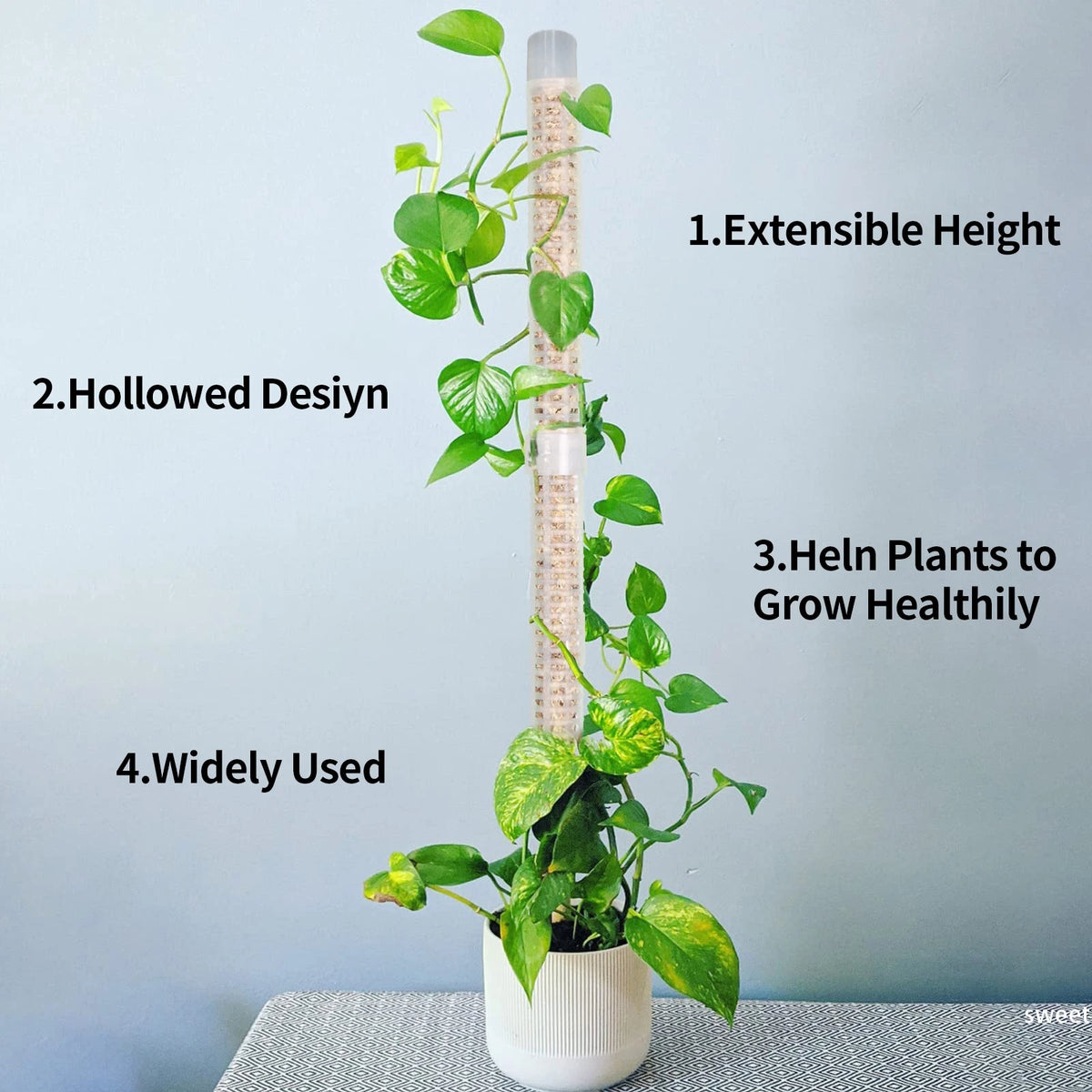support plantes blanc perforé moderne pot drainage auto arrosageintérieur jardin