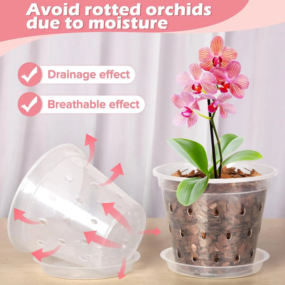 Pots fleurs transparents perforés moderne 11cm 12.5cm 14cm 15cm 17cm 5pcs