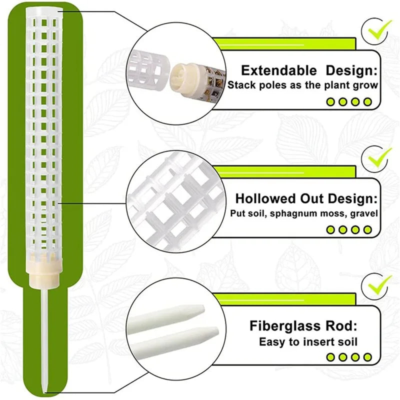 support plante plastique blanc moderne grille mailles régulières insertion sol