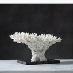 sculpture décorative corail blanc noir texture naturelle décorative sculptural base pierre noire moderne