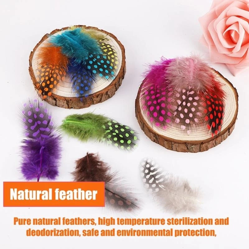 plumes naturelles colorées violet vert rose orange bleu marron noir points artisanat décoration mariage