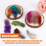 plumes naturelles colorées violet vert rose orange bleu marron noir points artisanat décoration mariage