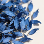 fleurs séchées bleues naturelles décoration maison mariage anniversaire baby shower intérieur artisanat