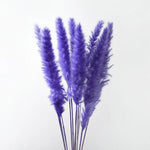 plumes pampas séchées blanches décorations fleurs naturelles rustiques mariage maison intérieur bouquet