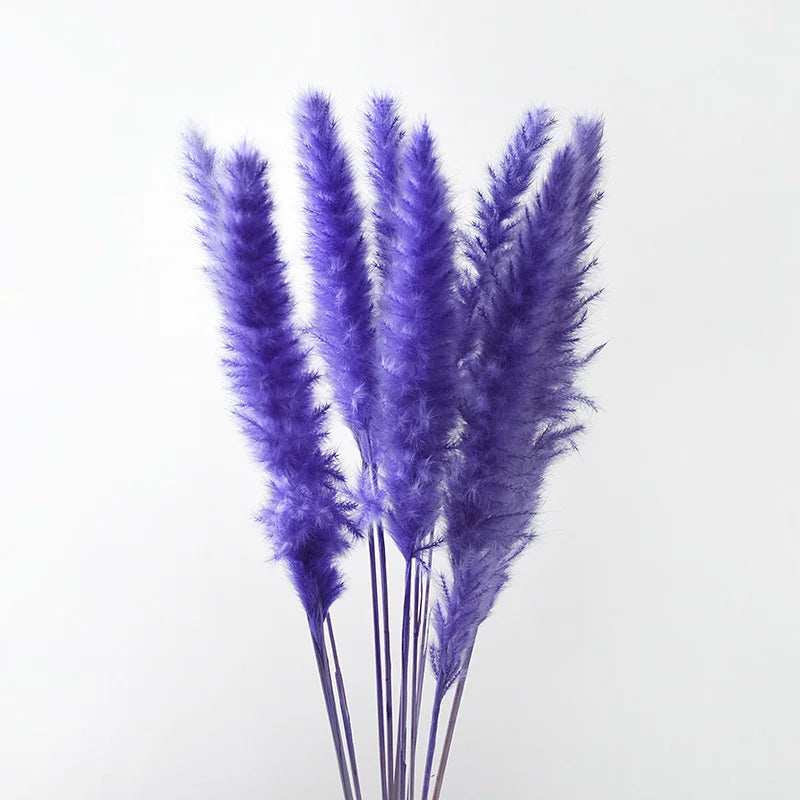plumes pampas séchées blanches décorations fleurs naturelles rustiques mariage maison intérieur bouquet