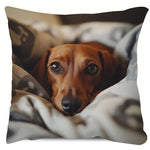 housse coussin chien teckel animal mignon polyester moderne 45x45cm sans insert opacité contemporain